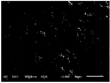 Method for preparing high-specific-surface-area cotton-shaped super-fine silver powder and silver powder prepared with method