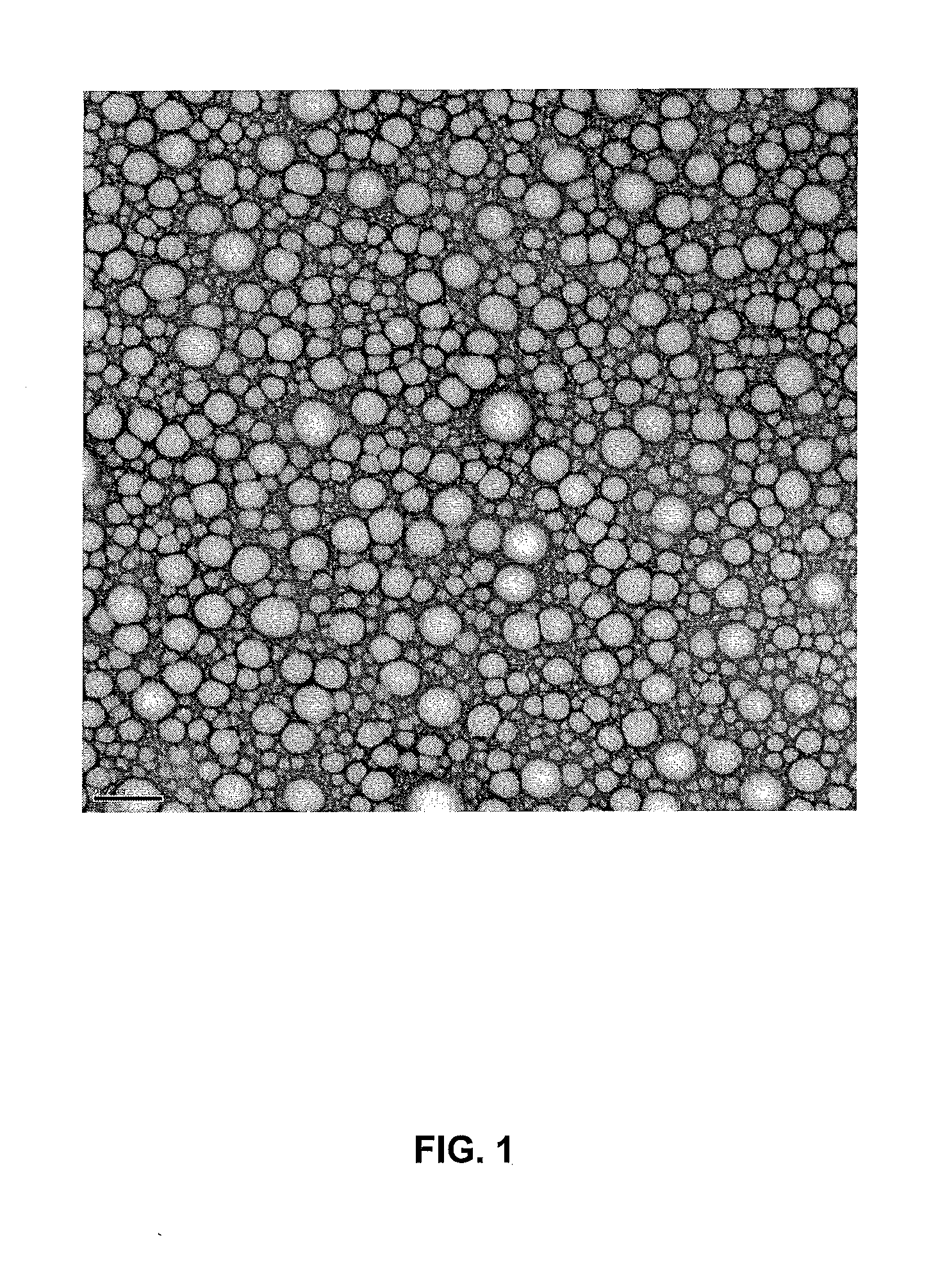 Antimicrobial compositions and methods of use