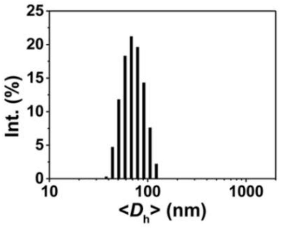 Tumor microenvironment-responsive black phosphorus nanogel drug as well as preparation method and application thereof