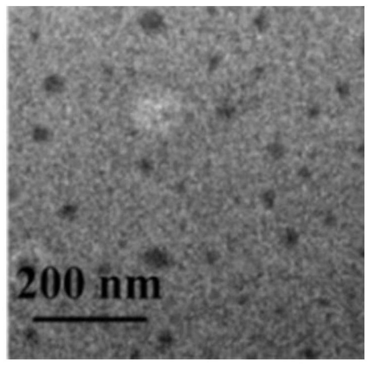 Tumor microenvironment-responsive black phosphorus nanogel drug as well as preparation method and application thereof