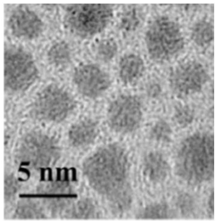 Tumor microenvironment-responsive black phosphorus nanogel drug as well as preparation method and application thereof