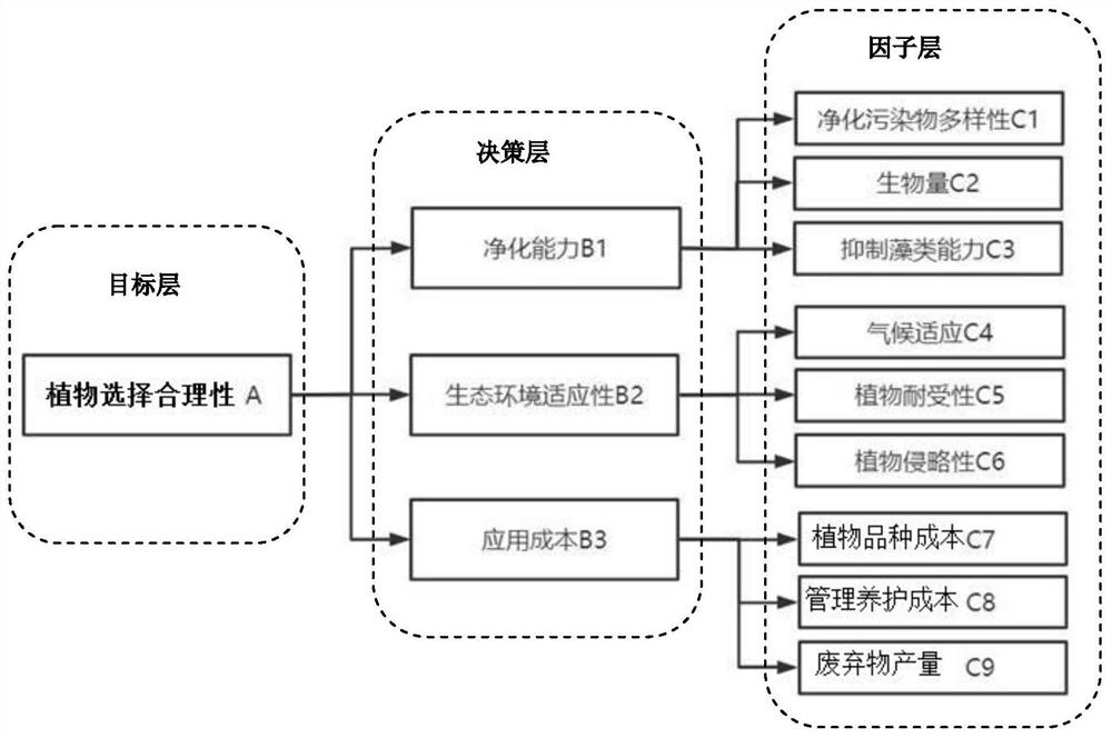 Method for evaluating rationality of river ecological island plant selection based on AHP