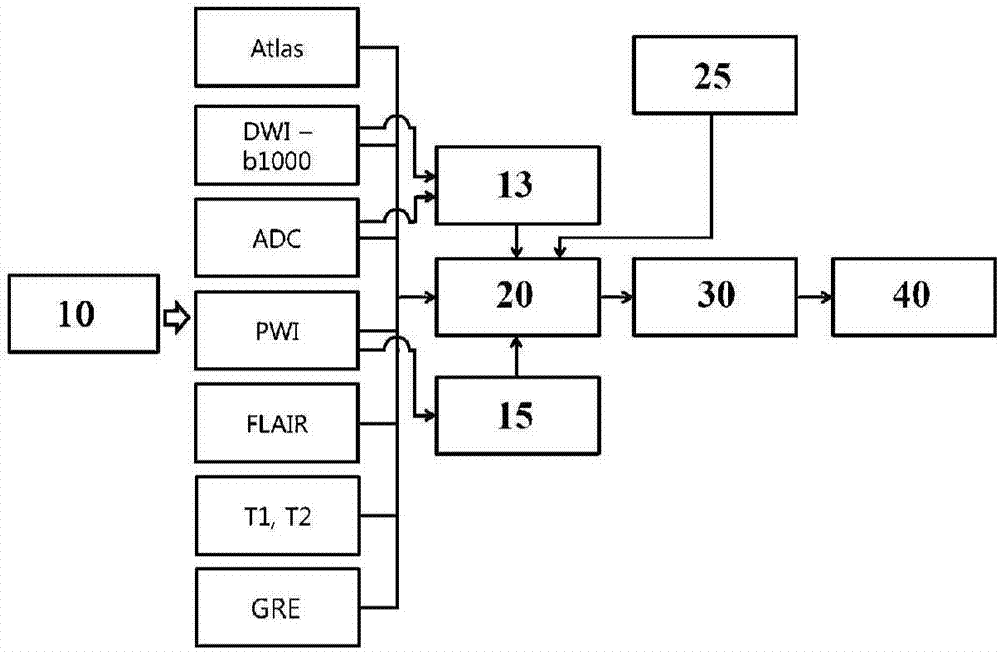 Method for estimating time of occurrence of infarct region on basis of brain image