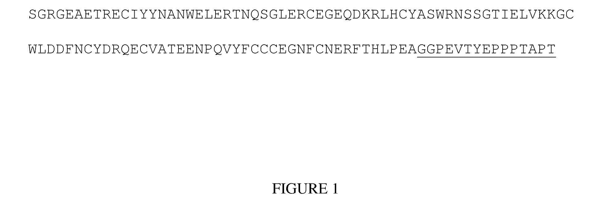 Actriib proteins and variants and uses therefore relating to utrophin induction for muscular dystrophy therapy