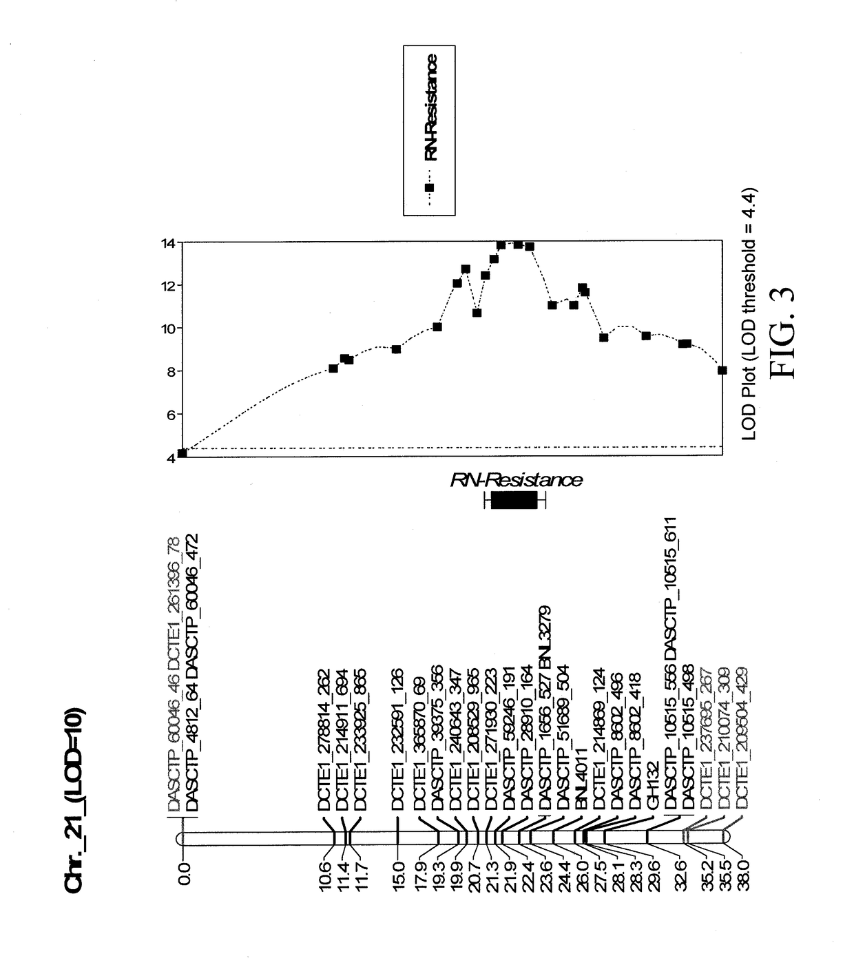 Markers linked to reniform nematode resistance