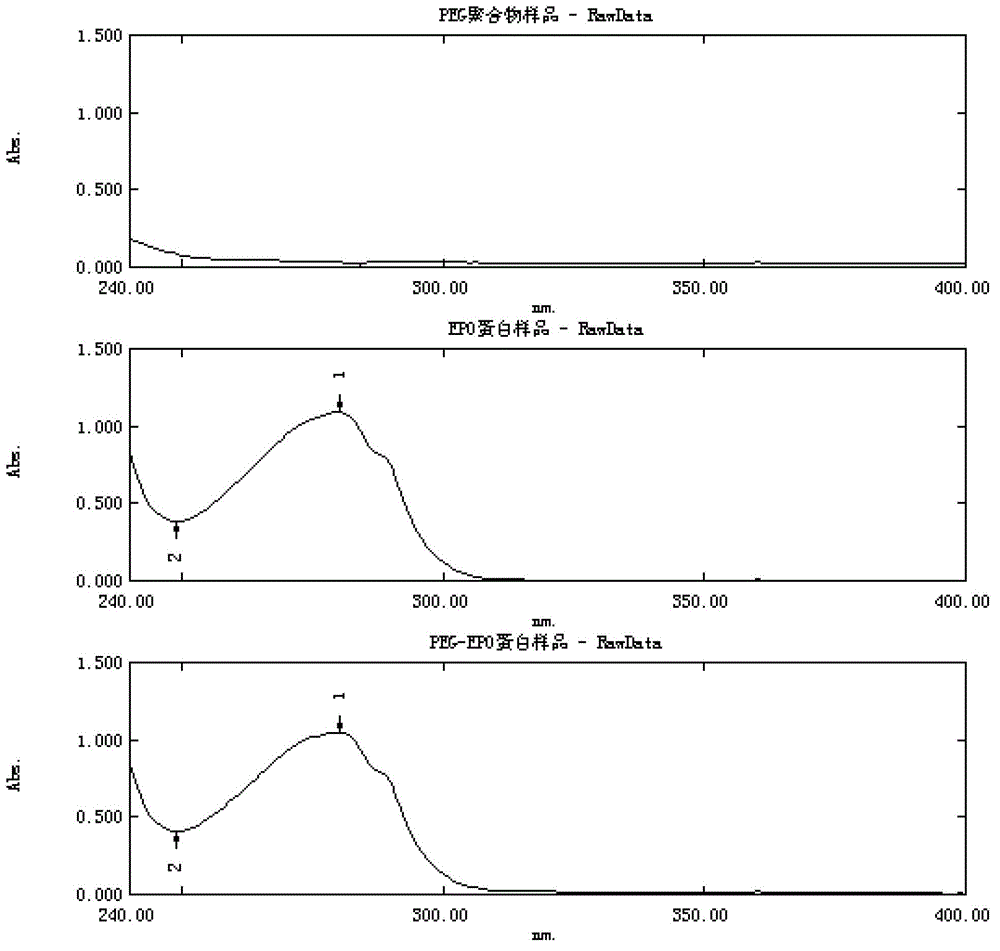 Continuous pegylation reaction method for recombinant human erythropoietin (EPO)