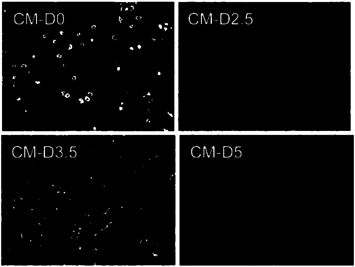 A therapeutic gene cocktail for heart regeneration