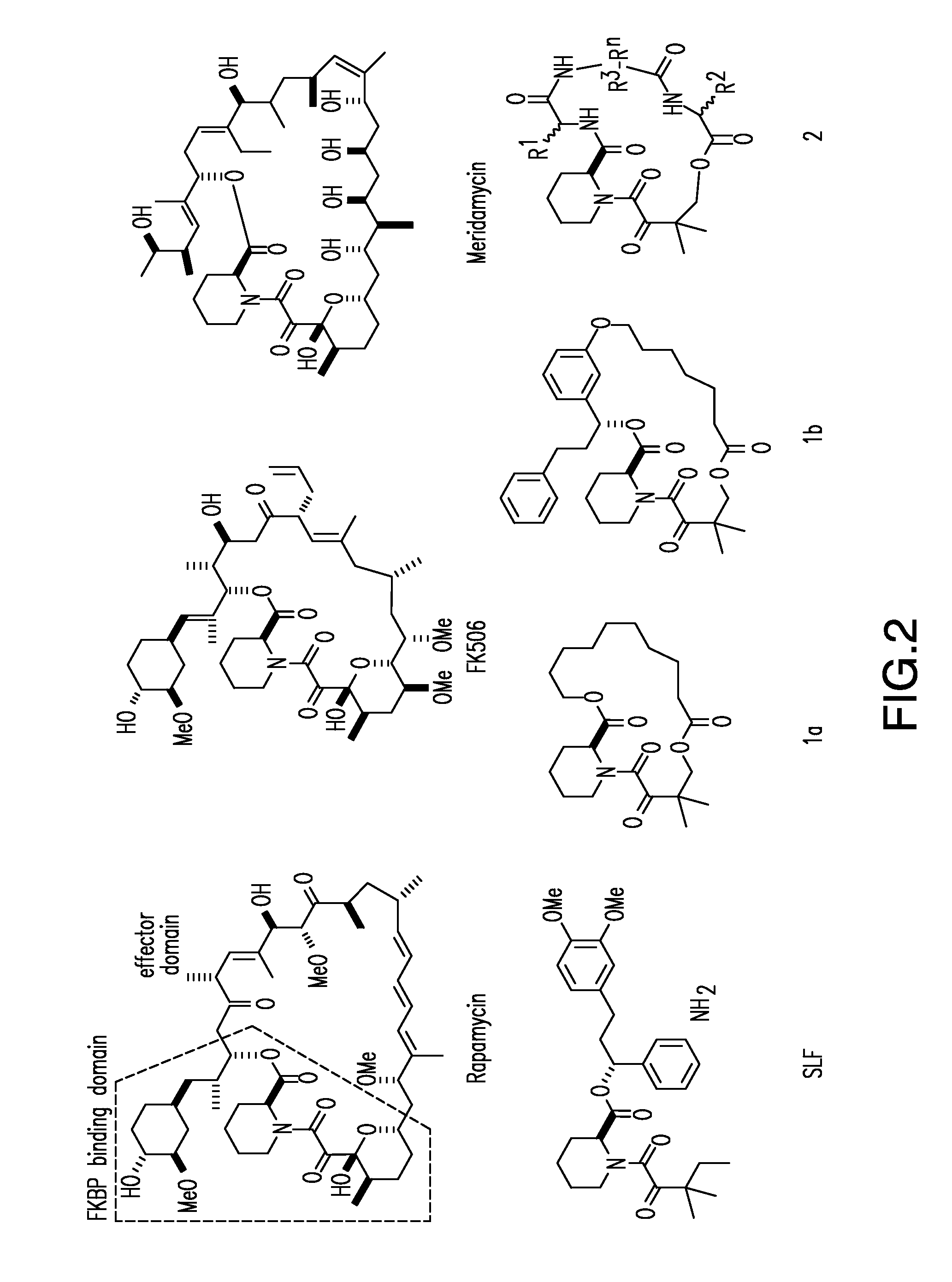 Small molecule composite surfaces as inhibitors of protein-protein interactions