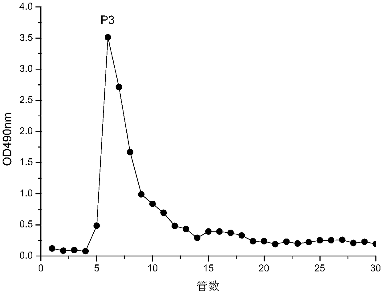 Myrtle polysaccharide P3, separation method thereof and application of myrtle polysaccharide P3 in blood-lipid-lowering drugs