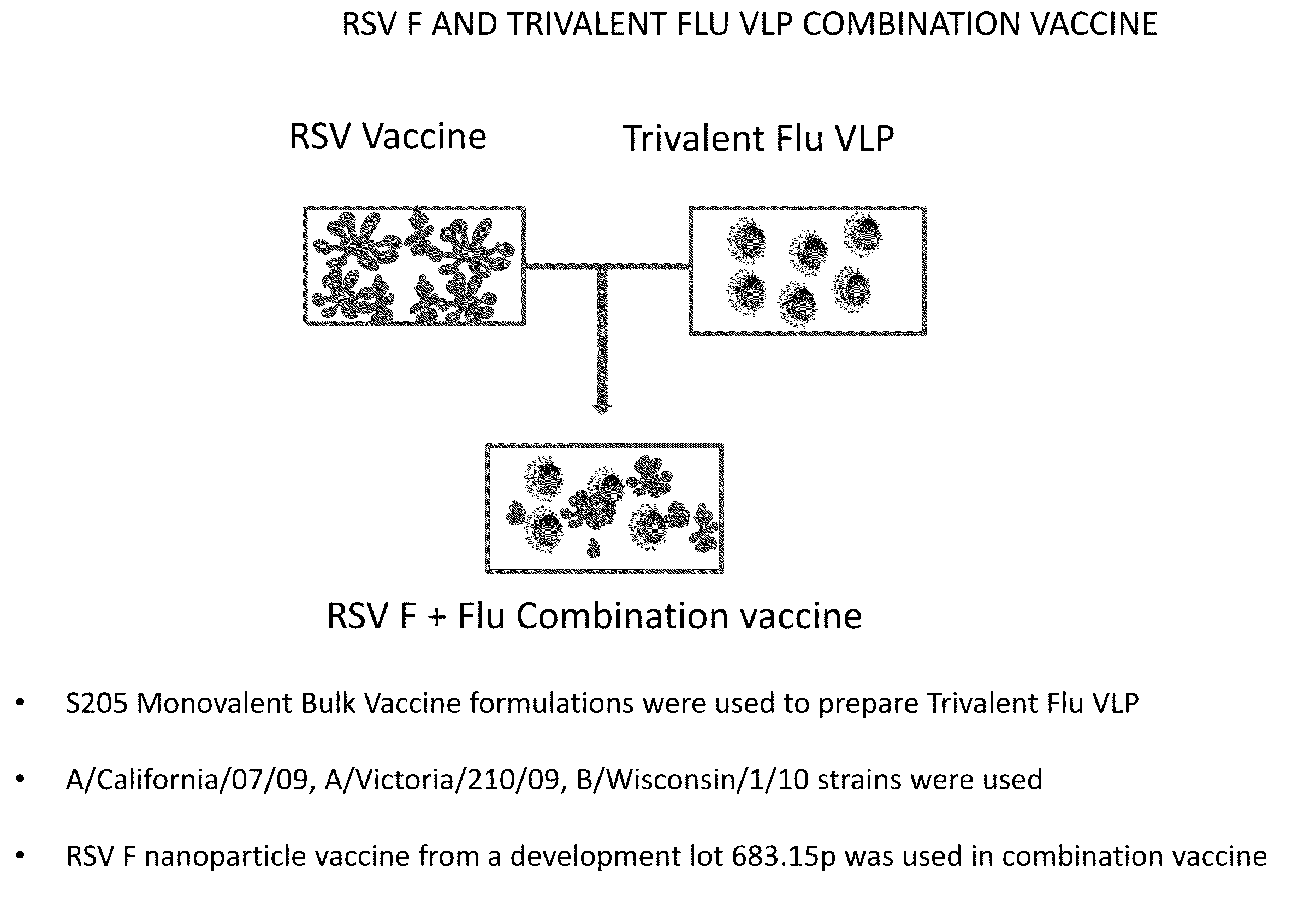 Combination vaccine for respiratory syncytial virus and influenza
