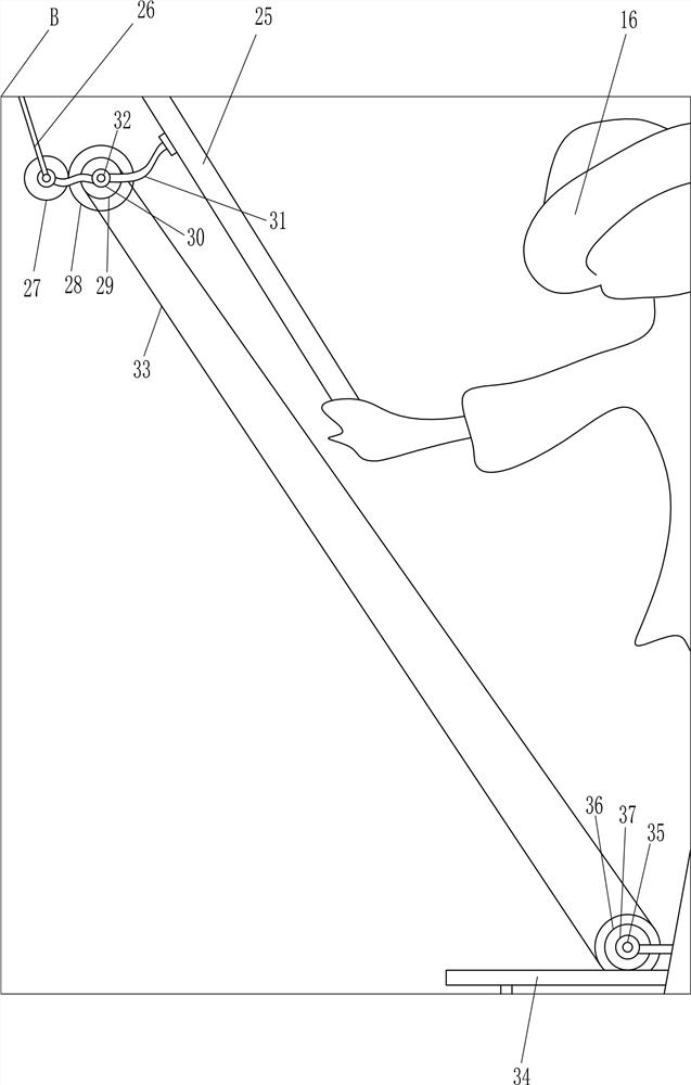 An agricultural bird repelling device