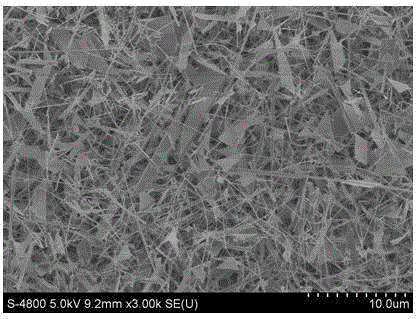 Method for preparing Zn-doped p-type beta-Ga2O3 nanowire according to chemical vapor deposition method