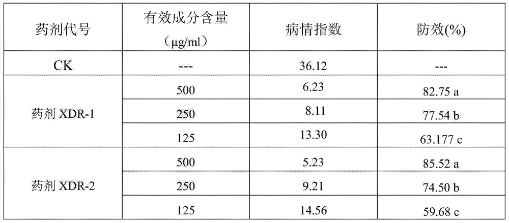 Plant source synergistic compound bactericide and application thereof