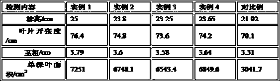 Multifunctional bio-organic fertilizer and application method thereof