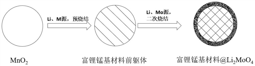 Lithium molybdate coated lithium-rich manganese-based positive electrode material as well as preparation method and application thereof