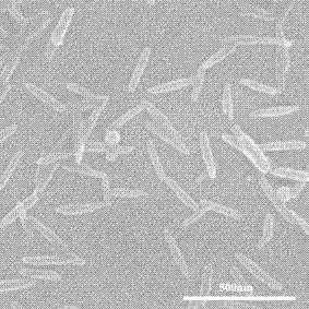 A method for preparing anilinoporphyrin self-assembled nanomaterials by co-solvent method