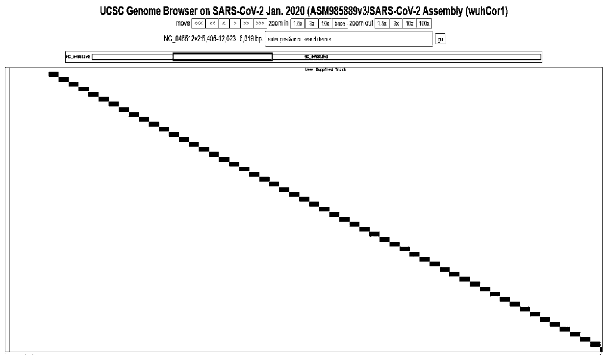 Preparation method of capture probe for targeted sequencing of novel coronavirus virus SARS-CoV-2 genome