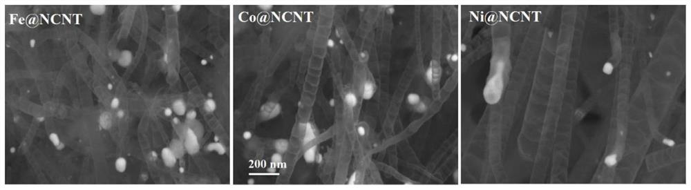 Nanoparticle-embedded nitrogen-doped carbon nanotube and method for degrading tetracycline by using nanoparticle-embedded nitrogen-doped carbon nanotube