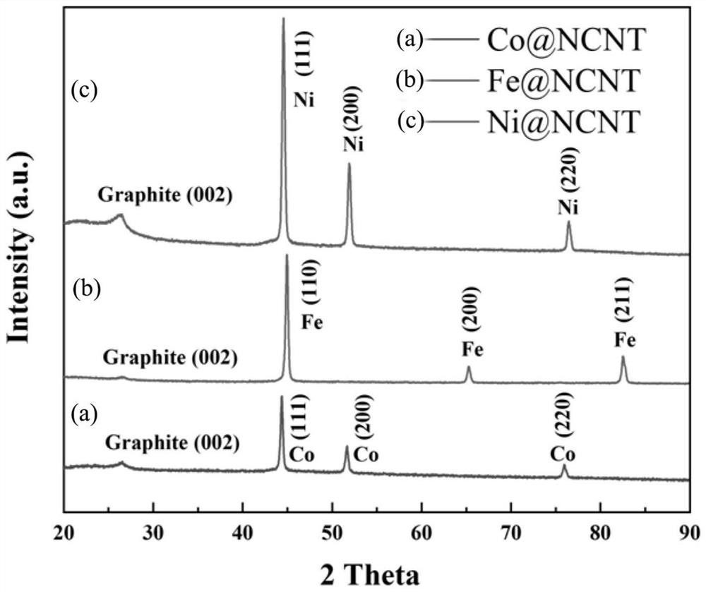 Nanoparticle-embedded nitrogen-doped carbon nanotube and method for degrading tetracycline by using nanoparticle-embedded nitrogen-doped carbon nanotube