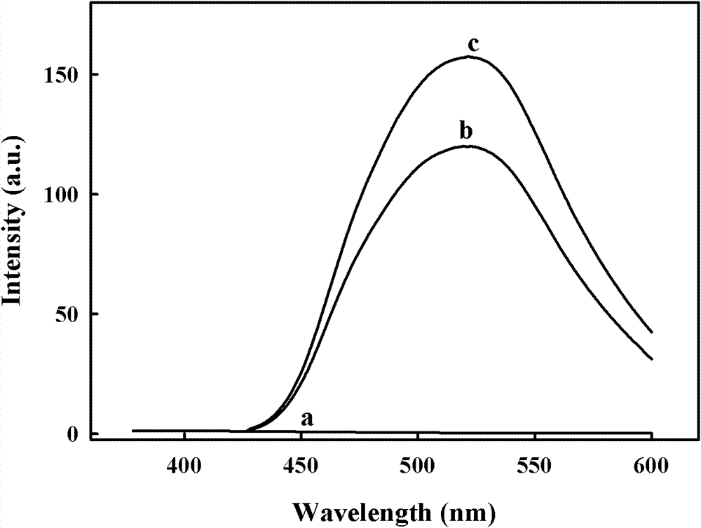 Fluorescent quantum dot marked chitosan DNA nano composite vector and preparation and application thereof