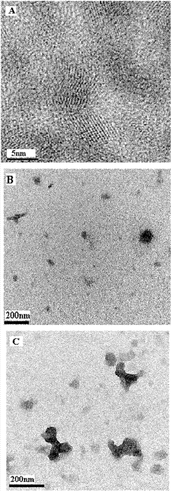 Fluorescent quantum dot marked chitosan DNA nano composite vector and preparation and application thereof