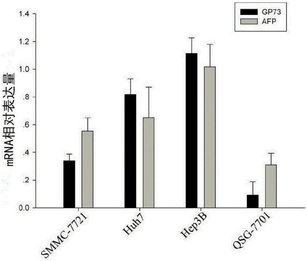 Liver cancer-specific gp73 core promoter and its screening and construction method