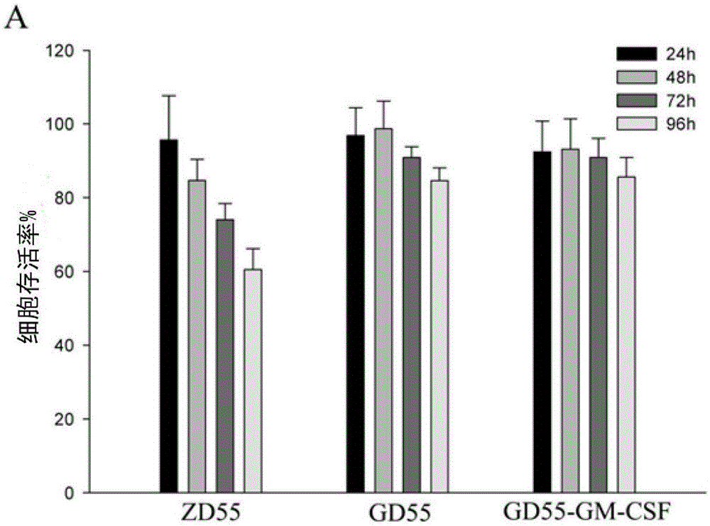 Liver cancer-specific gp73 core promoter and its screening and construction method