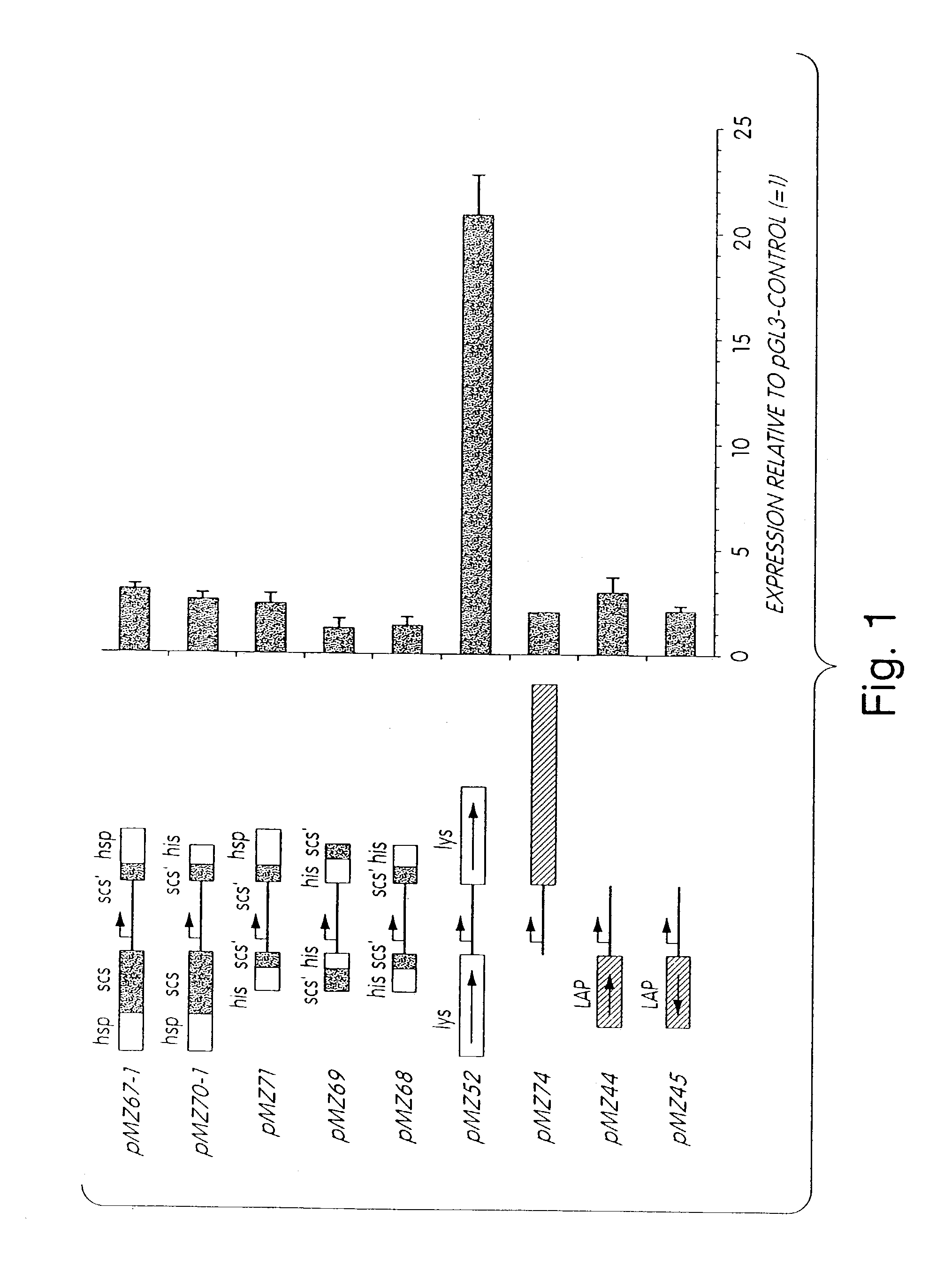 Matrix attachment regions and methods for use thereof