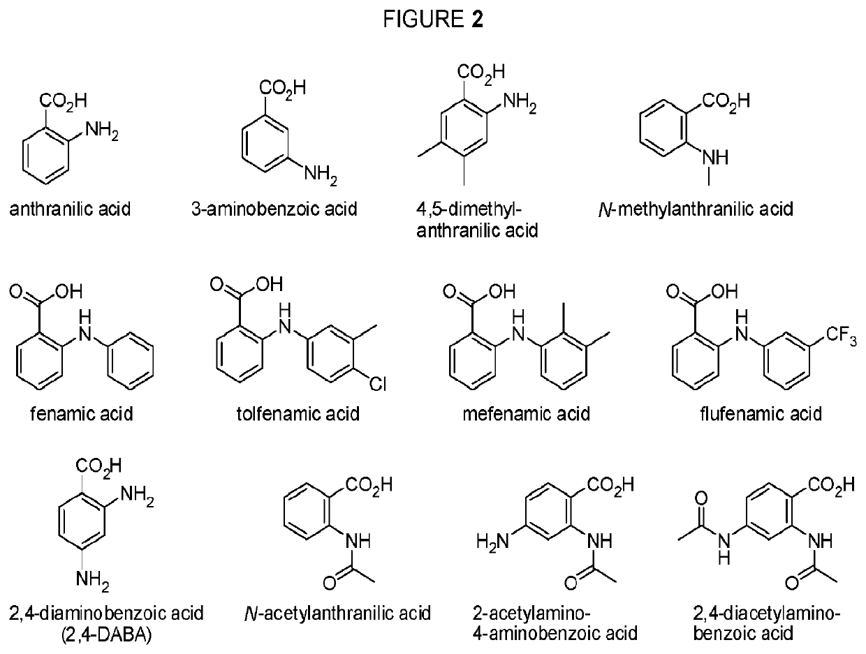 Dextrorphan prodrugs and processes for making and using them