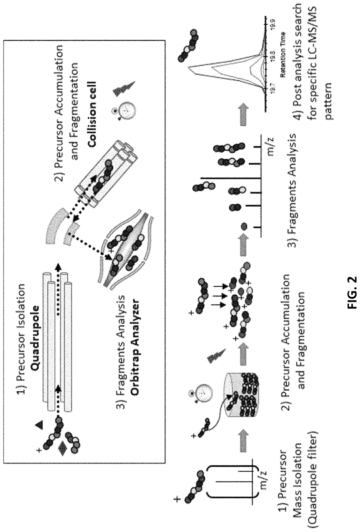 Methods of treating based on site-specific tau phosphorylation