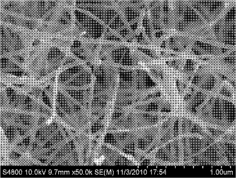 A kind of three-dimensional carbon nanotube nanocomposite catalyst and its preparation method and application