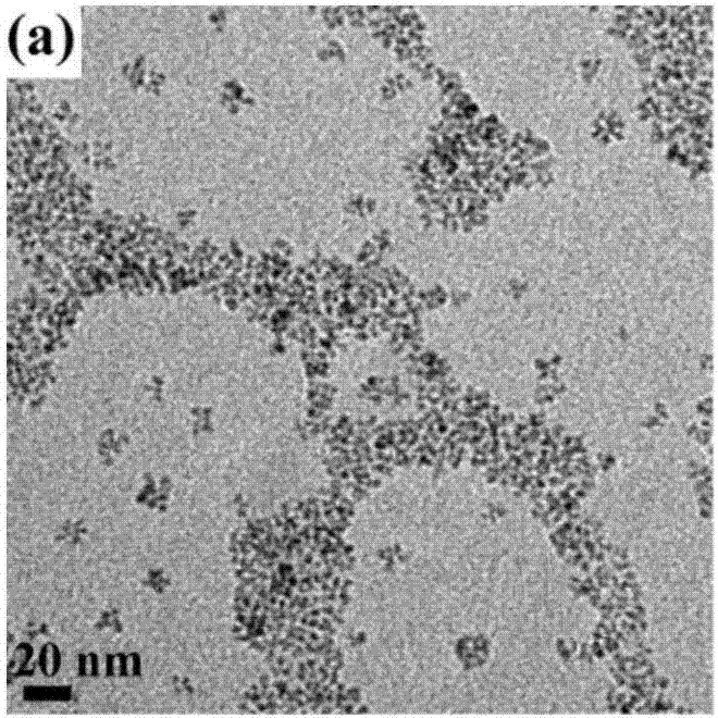 Copper ion-doped nickel oxide colloidal nano-crystal preparation method and product thereof, and applications of copper ion-doped nickel oxide colloidal nano-crystal