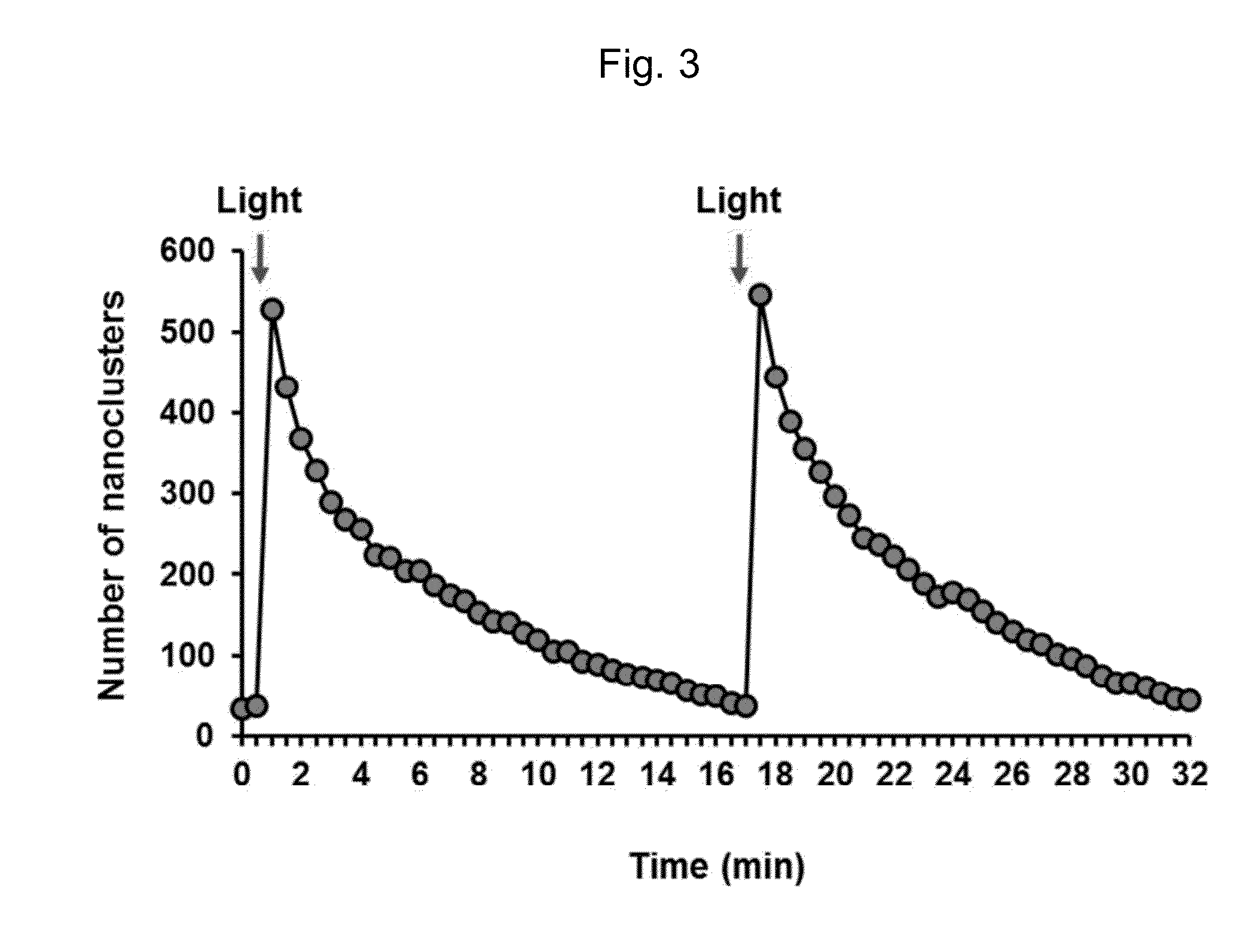 Method for forming a reversible protein nanocluster using light in a cell