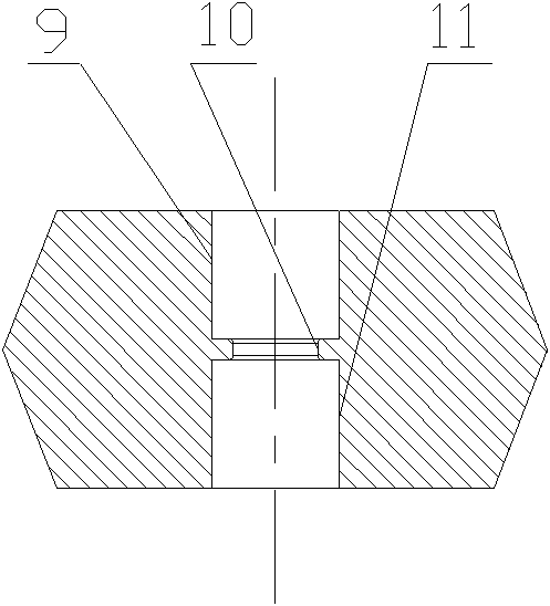 Torsion type reciprocating extrusion device and process method thereof