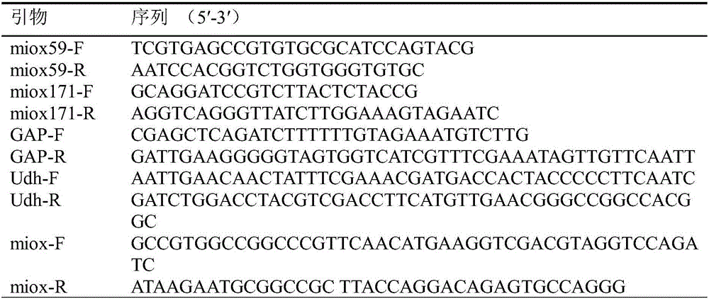 Inositol oxygenase mutant and application thereof