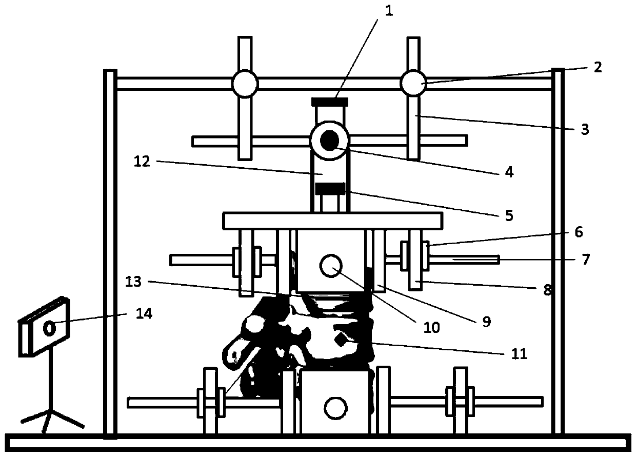 Device and method for testing rachiocamposis biological mechanics and motion range