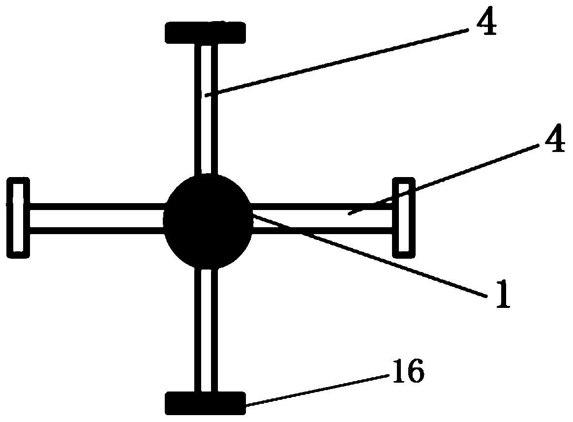 Device and method for testing rachiocamposis biological mechanics and motion range