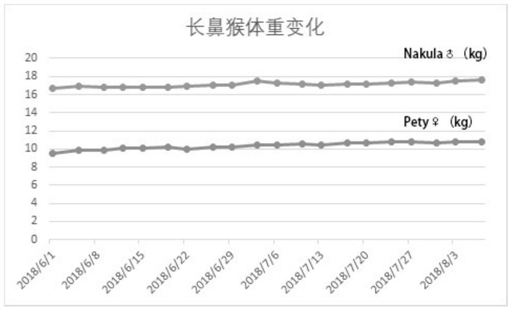 General feed for adult nasalis larvatus and feeding method of general feed