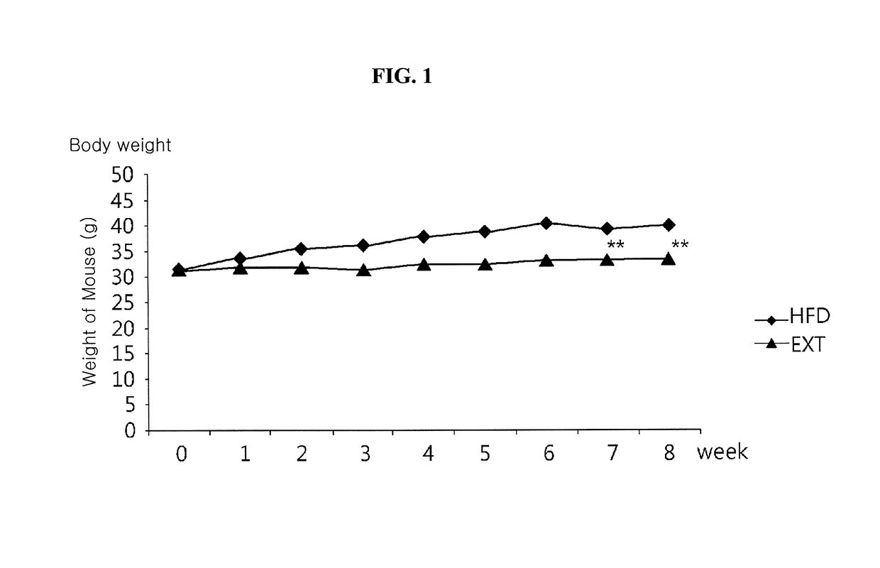 Composition for treating obesity and diabetes and for increasing muscle mass and improving capacity for exercise, comprising extracts of piper retrofractum vahl. fruits as active ingredients