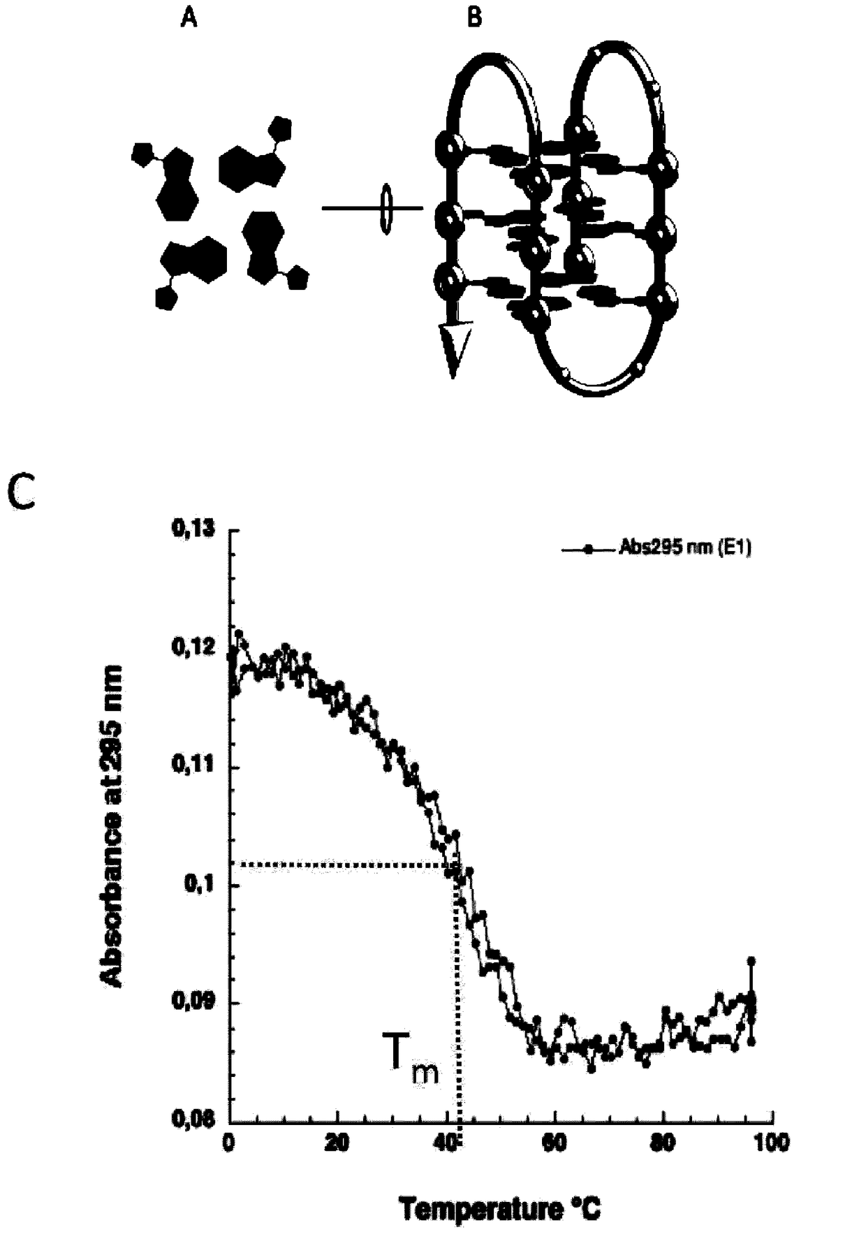 Methods and pharmaceutical compositions for the treatment of filovirus infections