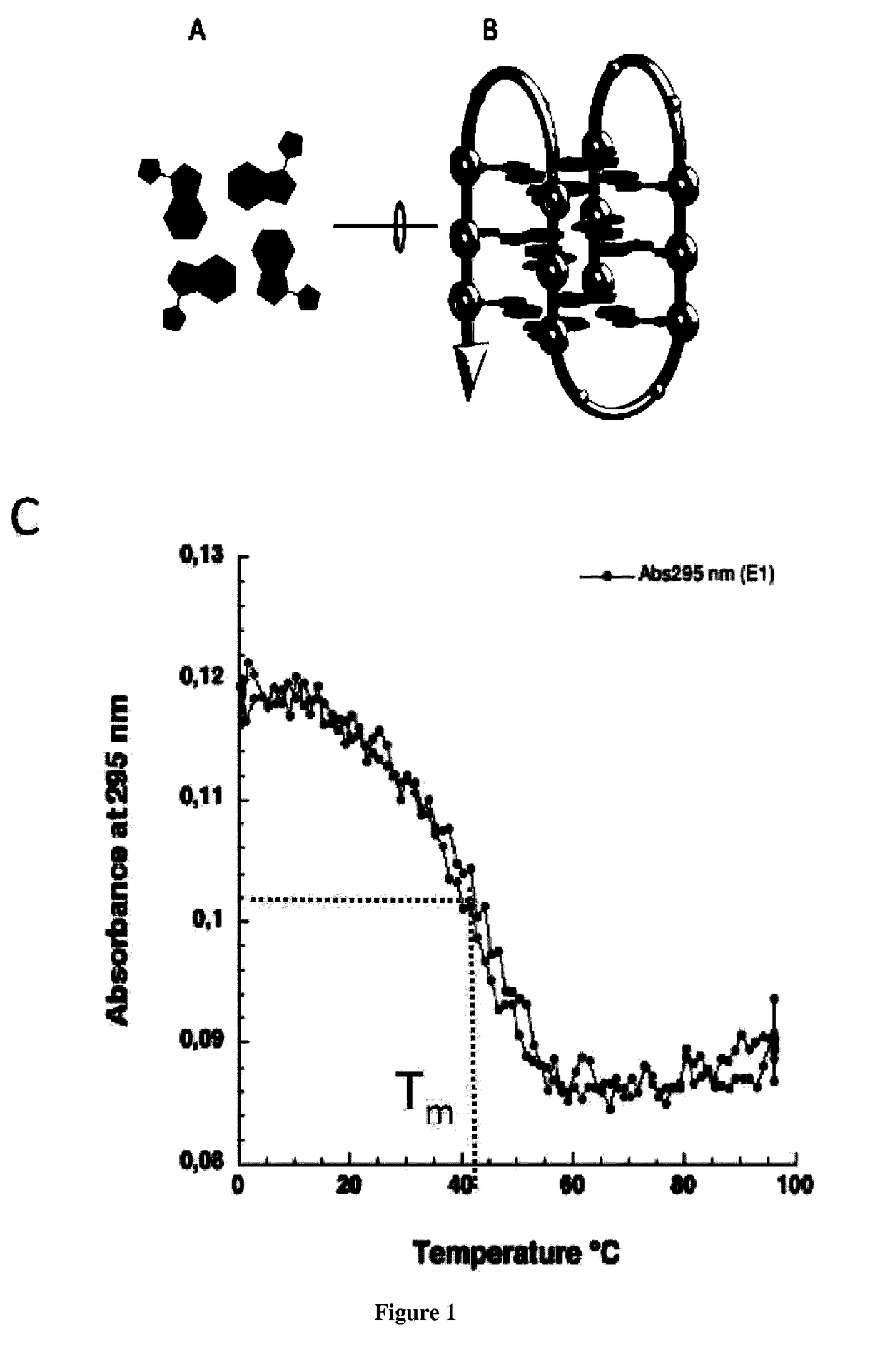 Methods and pharmaceutical compositions for the treatment of filovirus infections
