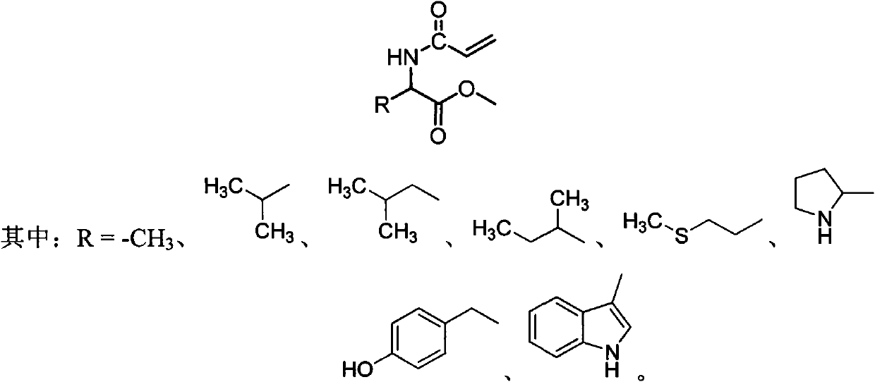 Chiral monomer containing L-amino acid group