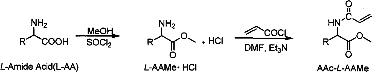 Chiral monomer containing L-amino acid group