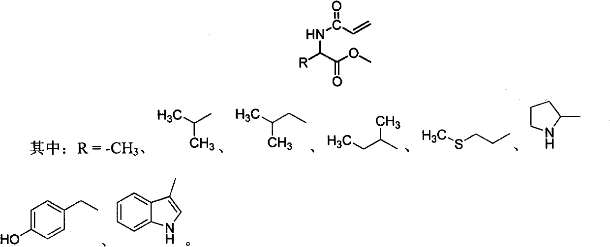 Chiral monomer containing L-amino acid group