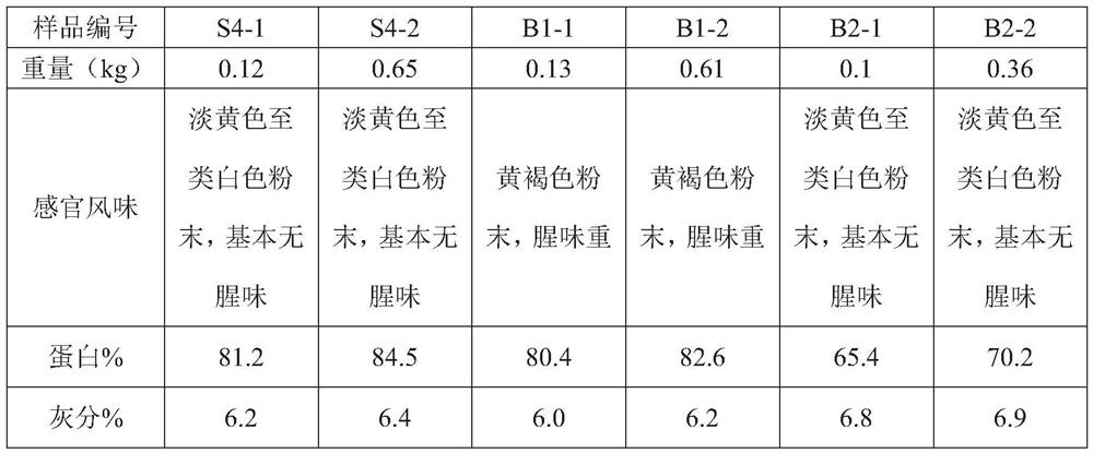 Oyster peptide with blood fat reducing function as well as preparation method and application thereof