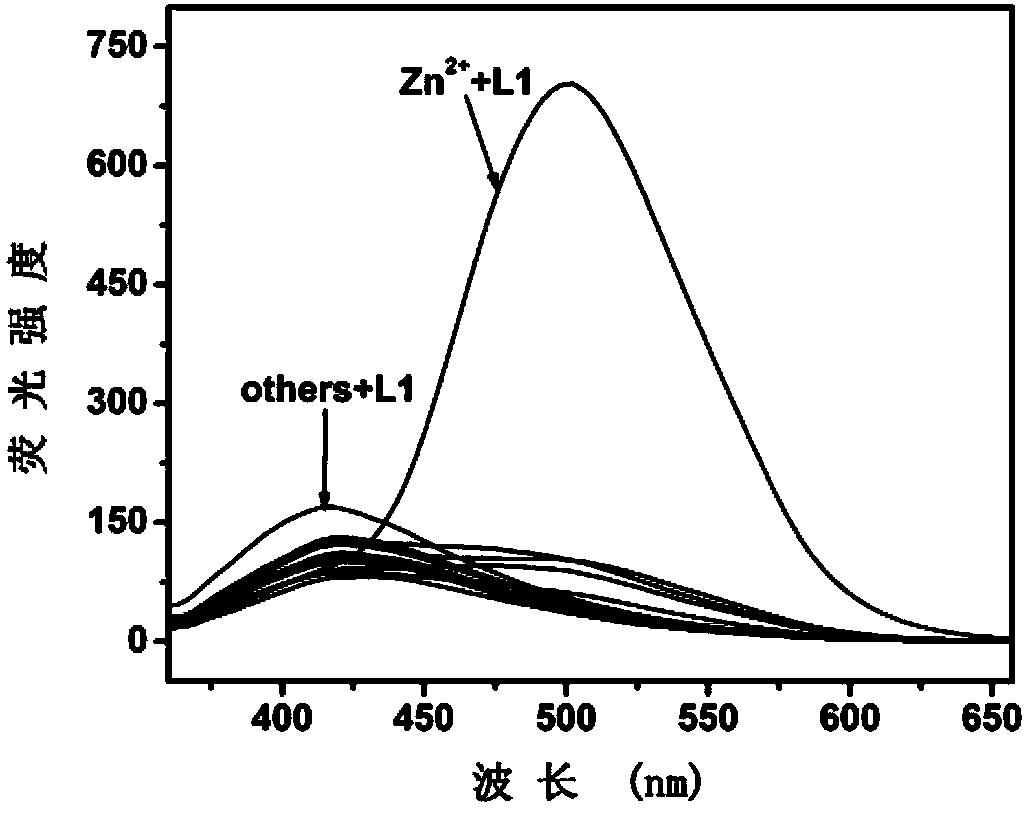 Fluorescence molecular probe for detecting zinc ions and preparation method thereof