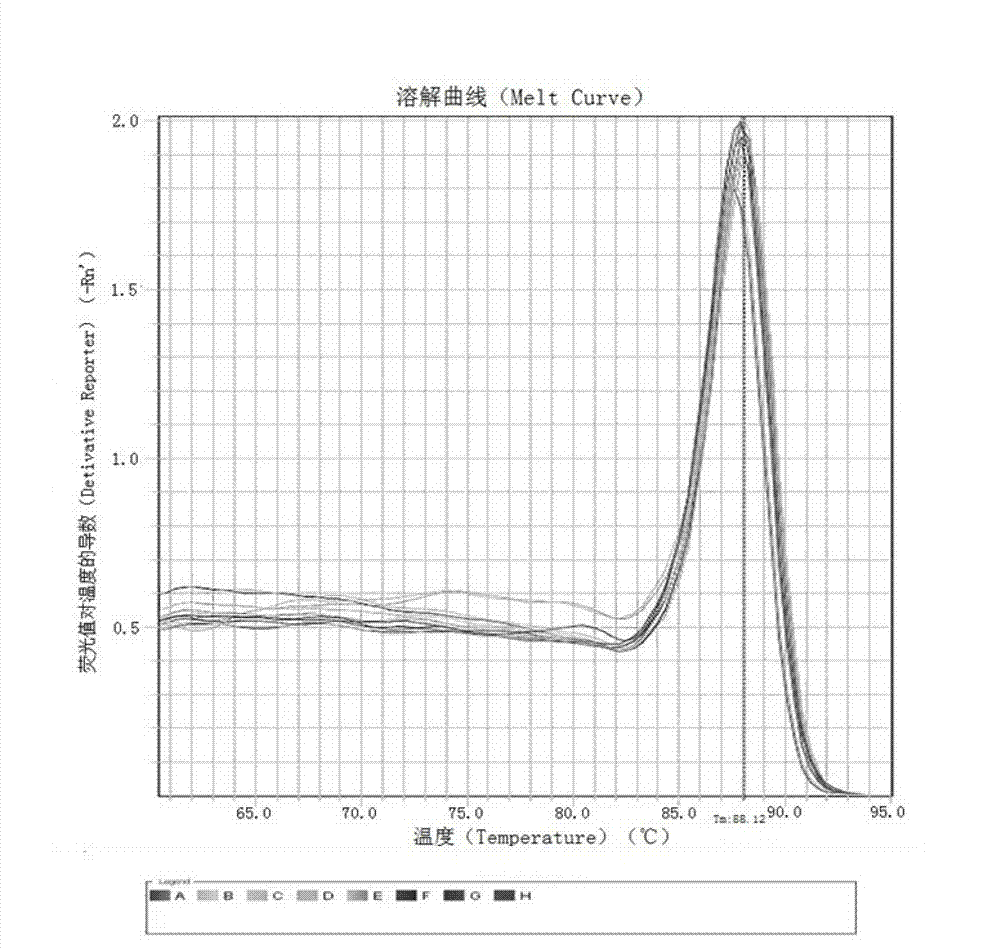 Kit and method for detecting expression level of TYMS (Thymidylate Synthetase) mRNA (messenger Ribonucleic Acid)