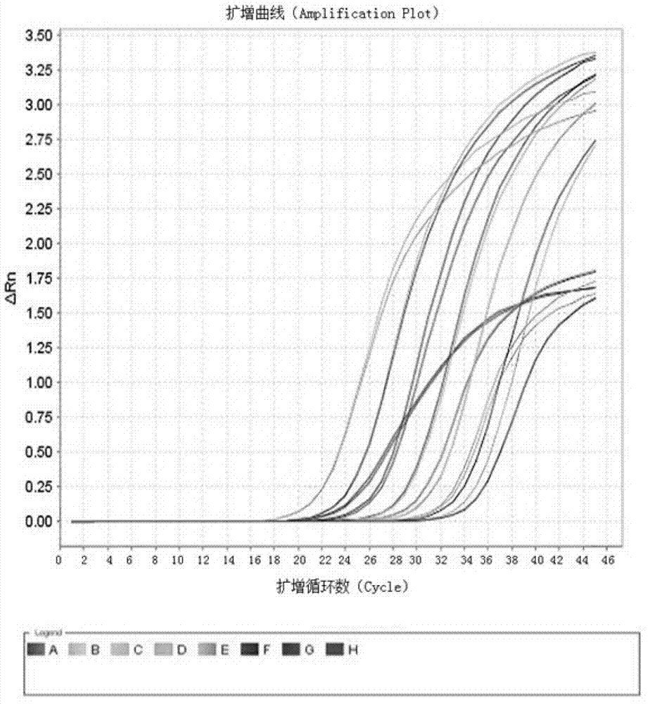 Kit and method for detecting expression level of TYMS (Thymidylate Synthetase) mRNA (messenger Ribonucleic Acid)