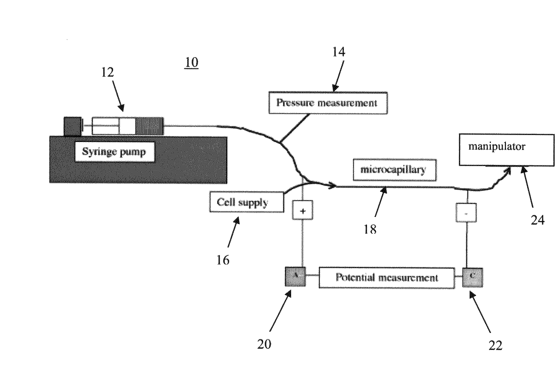 Systems And Methods For Analyzing And Manipulating Biological Samples
