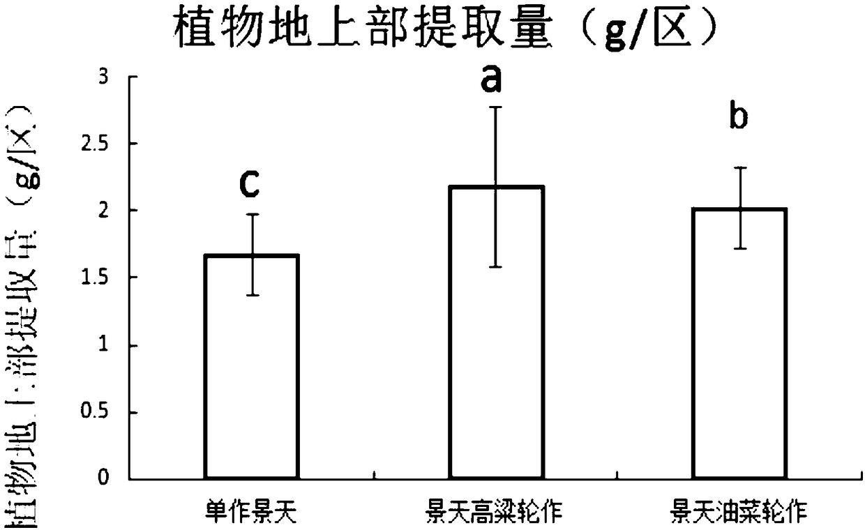Method of quickly repairing cadmium polluted cultivated land by crop rotation of cadmium super-enriching plant and energy plant